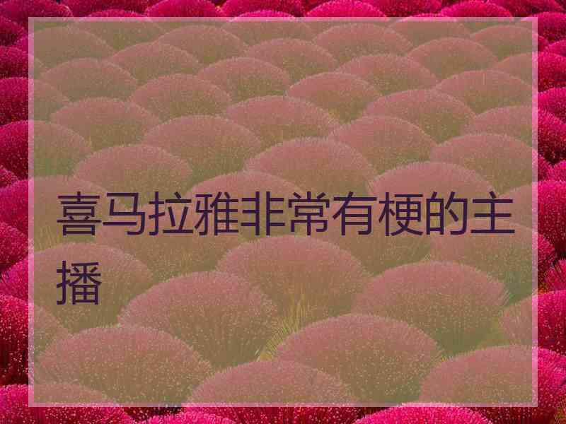 喜马拉雅非常有梗的主播