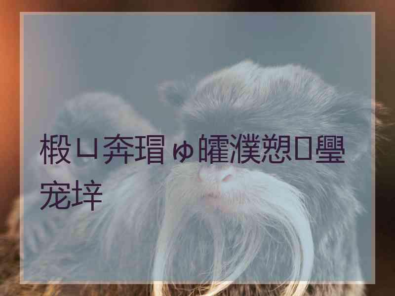 椴ㄩ奔瑁ゅ皬濮愬璺宠垶