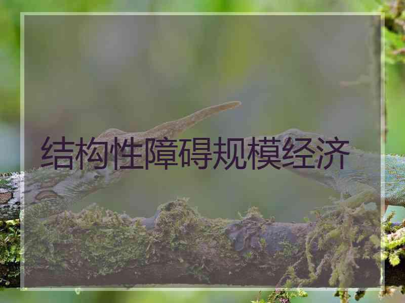 结构性障碍规模经济