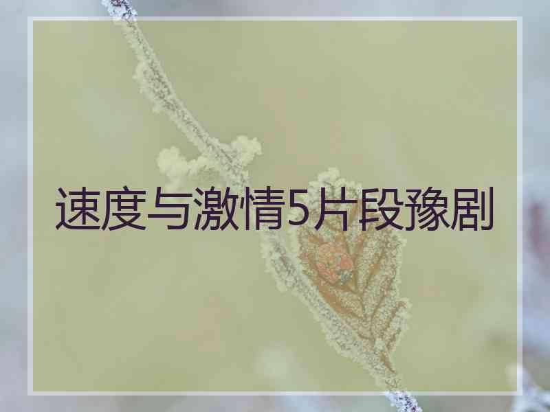 速度与激情5片段豫剧