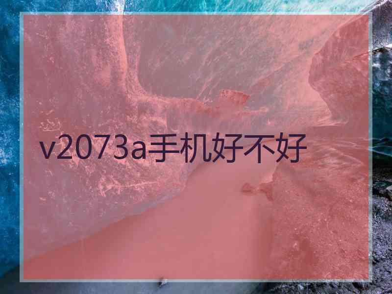 v2073a手机好不好