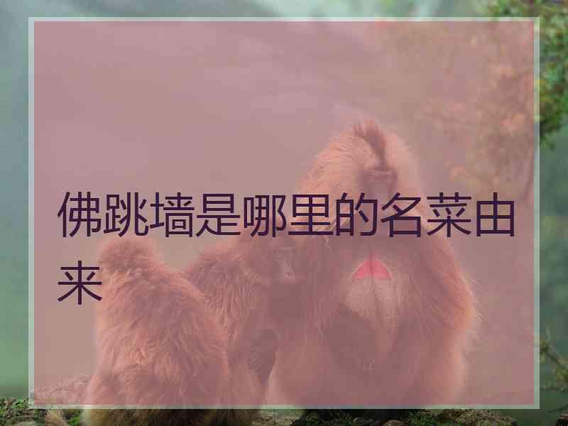 佛跳墙是哪里的名菜由来