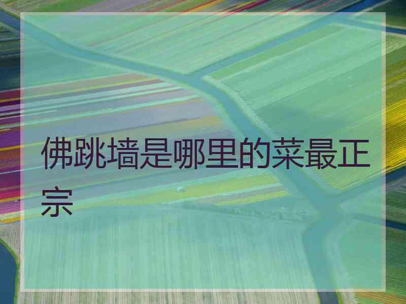 佛跳墙是哪里的菜最正宗