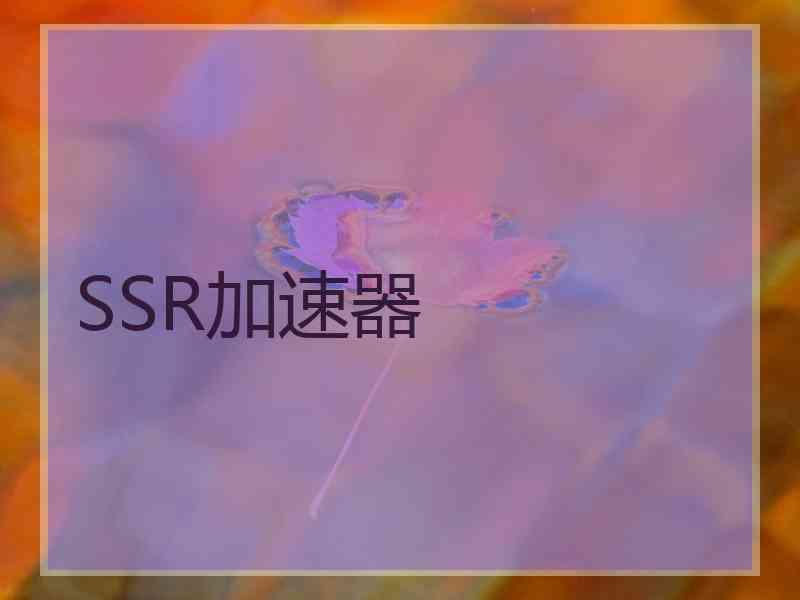 SSR加速器