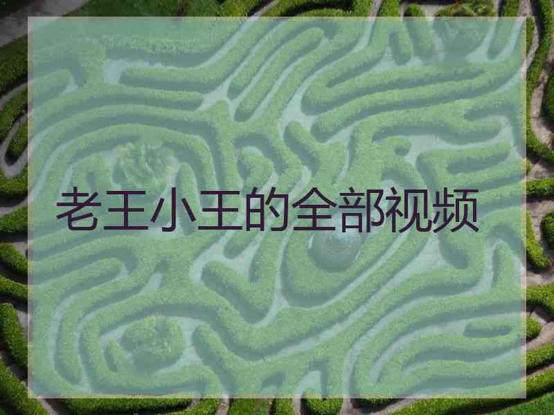 老王小王的全部视频