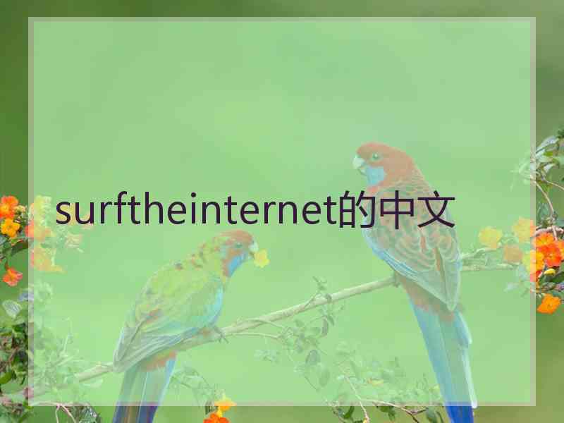 surftheinternet的中文