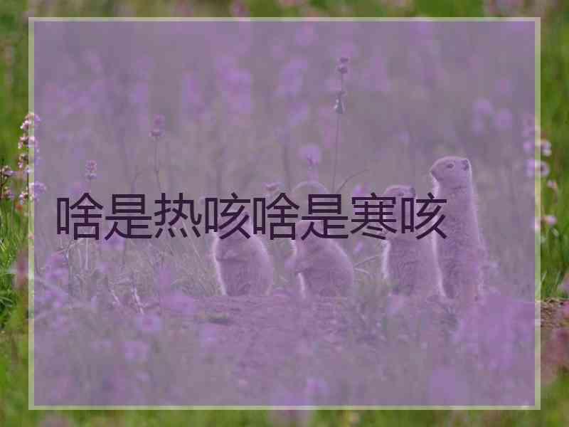 啥是热咳啥是寒咳