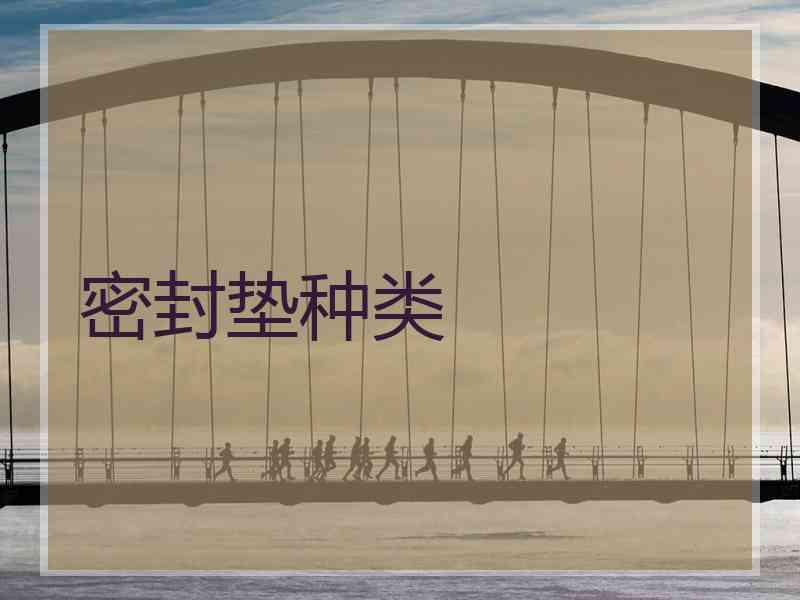 密封垫种类