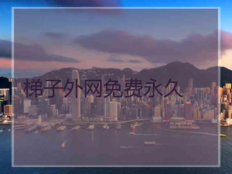 梯子外网免费永久