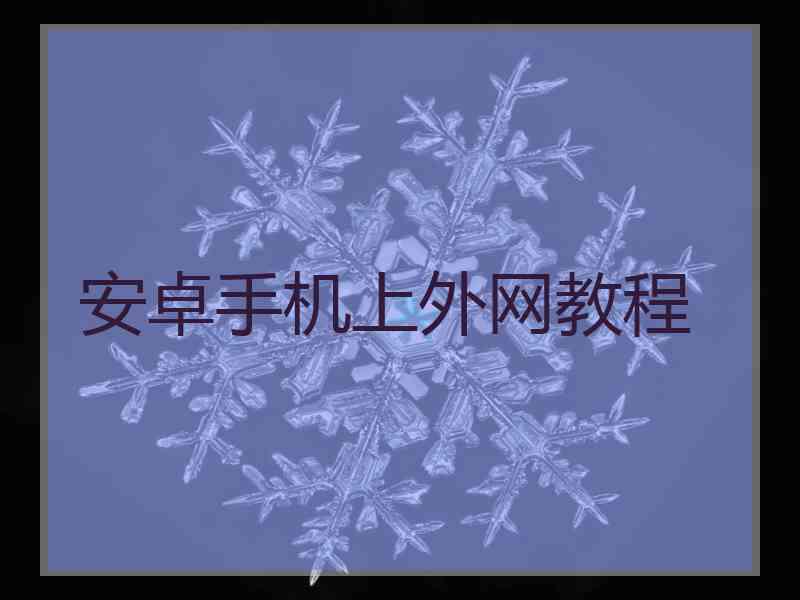 安卓手机上外网教程