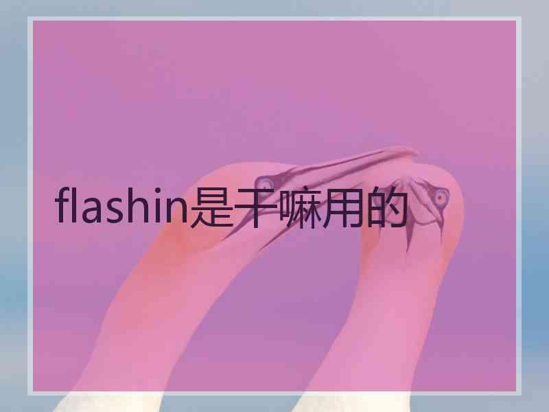 flashin是干嘛用的