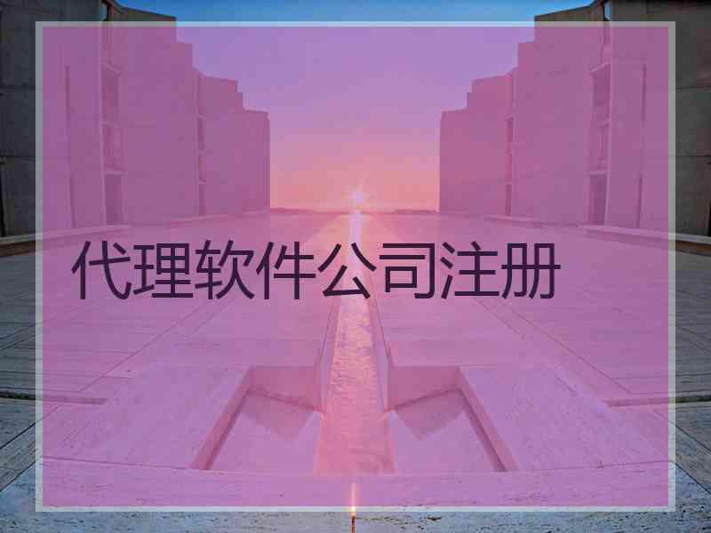 代理软件公司注册
