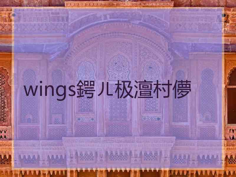 wings鍔ㄦ极澶村儚