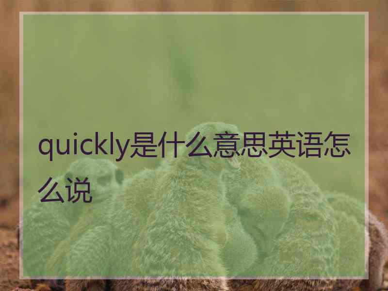 quickly是什么意思英语怎么说