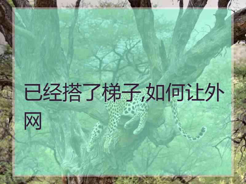 已经搭了梯子,如何让外网