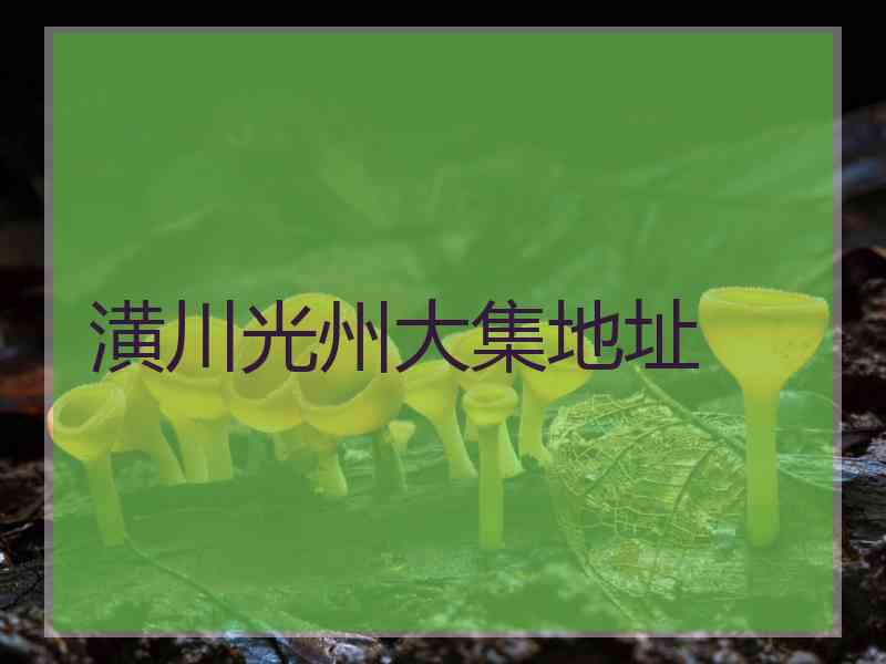 潢川光州大集地址
