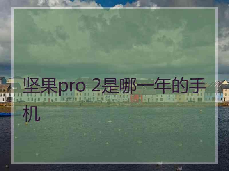 坚果pro 2是哪一年的手机