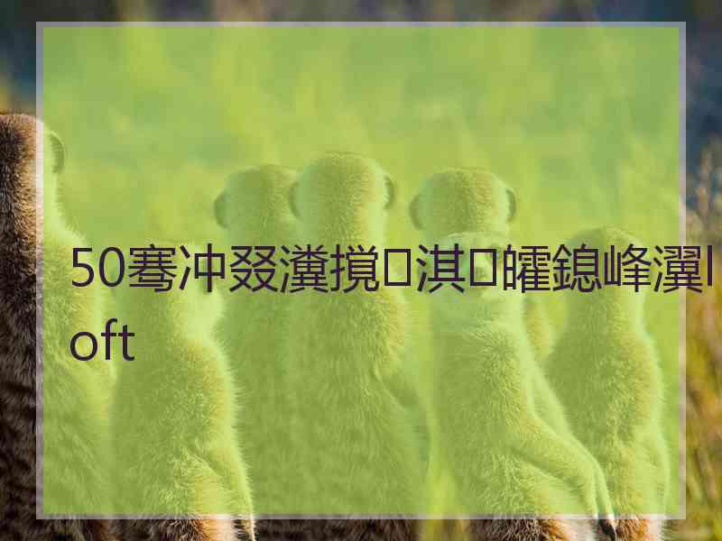 50骞冲叕瀵撹淇皬鎴峰瀷loft