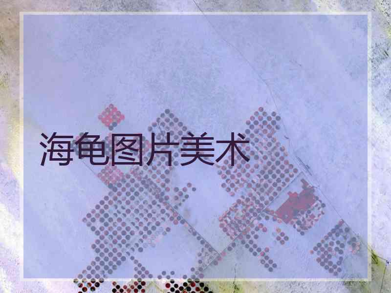 海龟图片美术