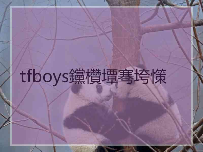 tfboys钂欑墰骞垮憡