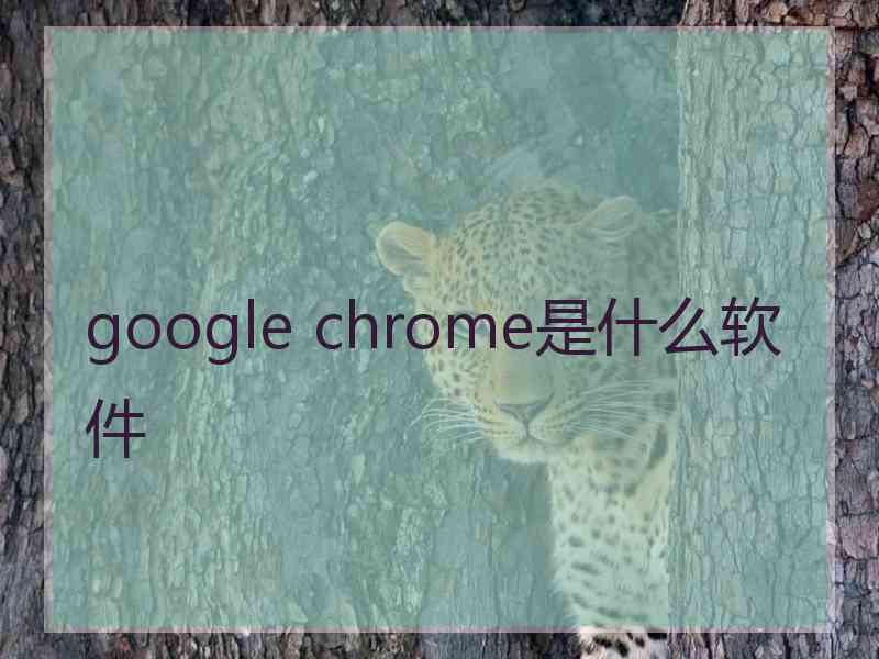 google chrome是什么软件