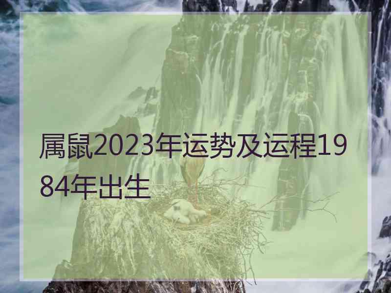 属鼠2023年运势及运程1984年出生