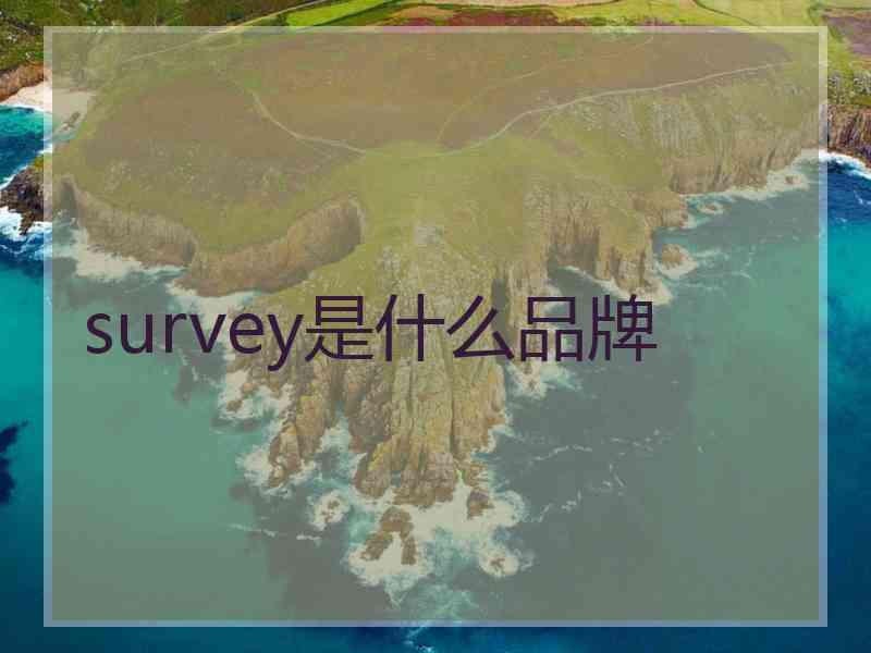survey是什么品牌