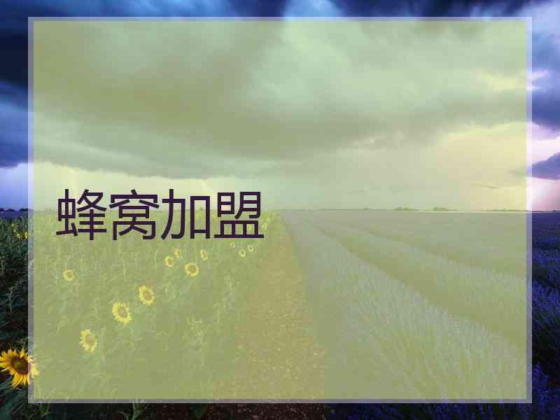 蜂窝加盟