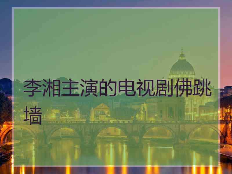 李湘主演的电视剧佛跳墙