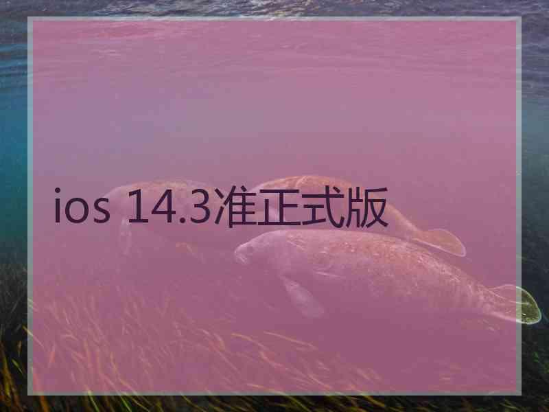 ios 14.3准正式版
