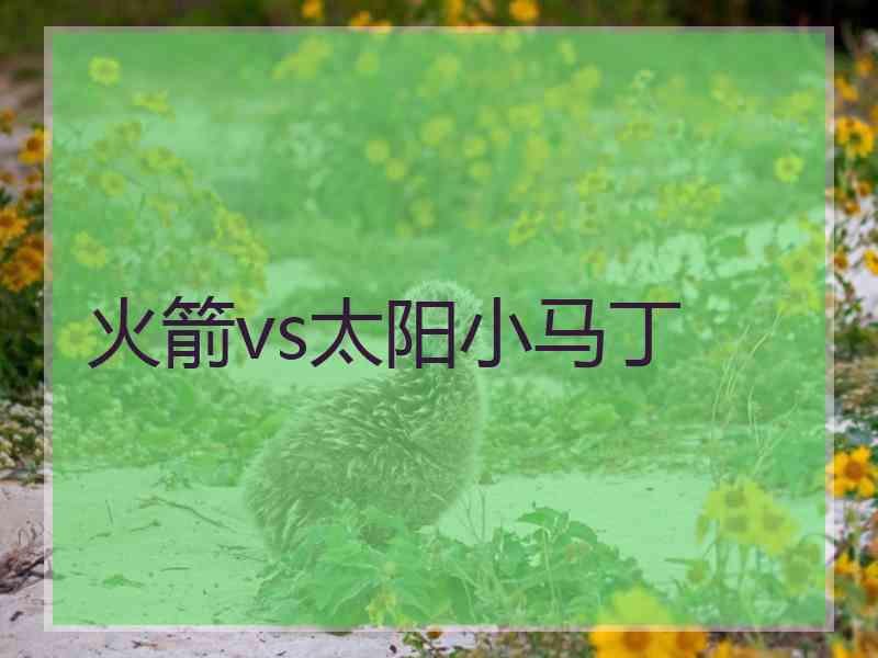 火箭vs太阳小马丁