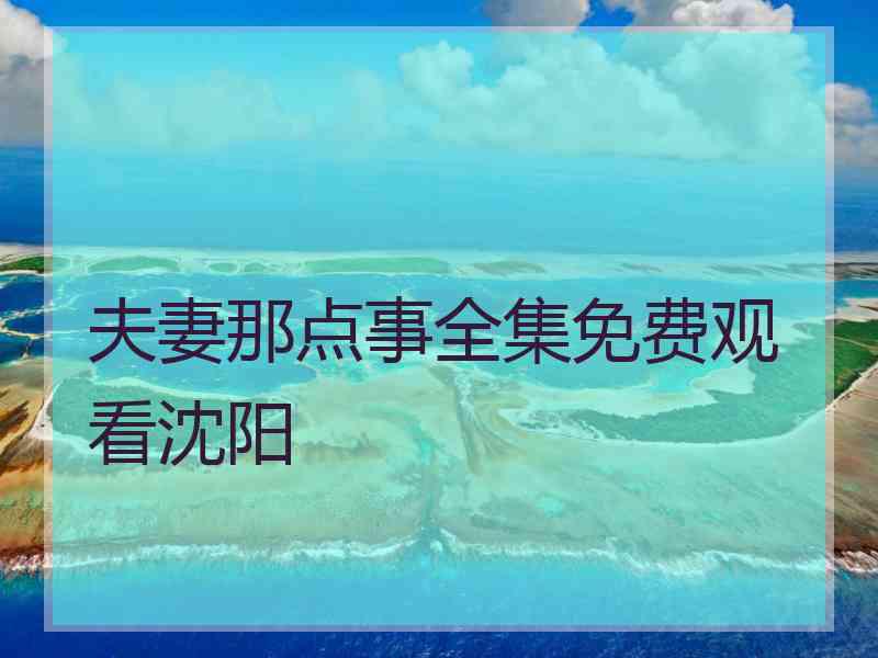 夫妻那点事全集免费观看沈阳