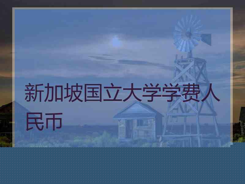 新加坡国立大学学费人民币