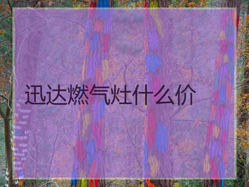 迅达燃气灶什么价