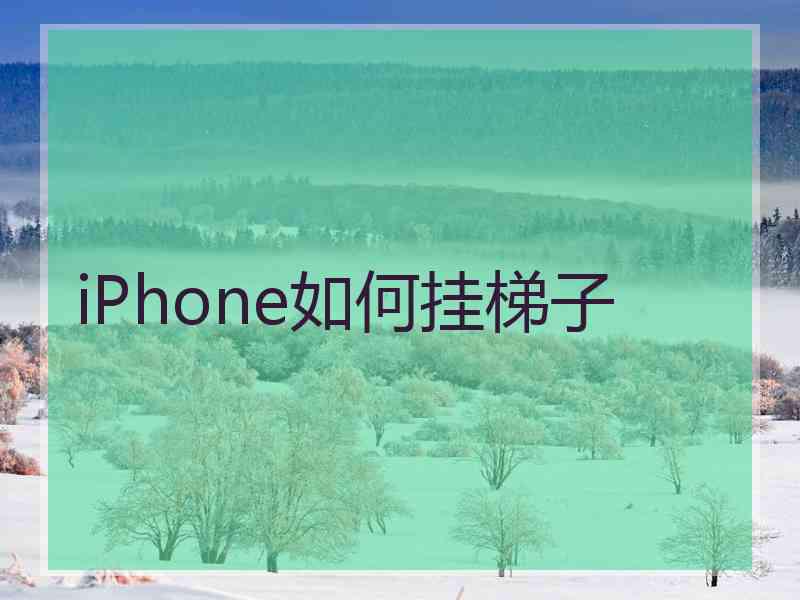 iPhone如何挂梯子