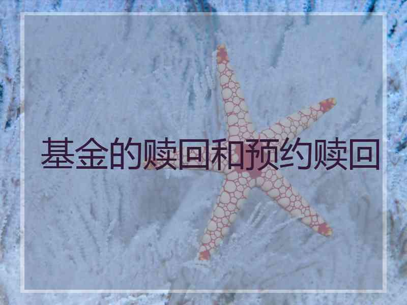 基金的赎回和预约赎回