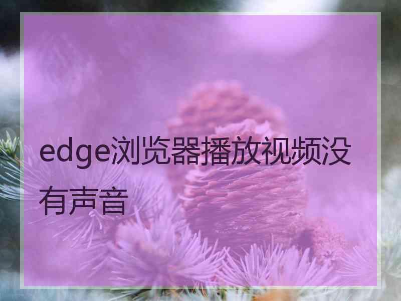 edge浏览器播放视频没有声音
