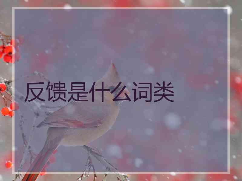 反馈是什么词类