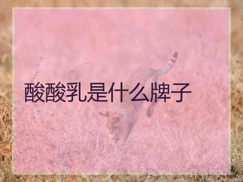 酸酸乳是什么牌子